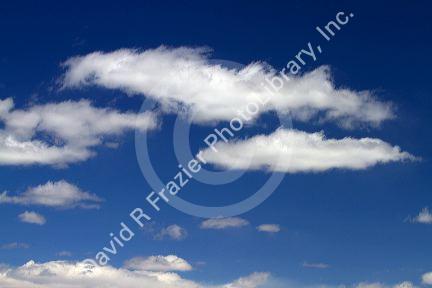 Cumulus clouds in a blue sky.