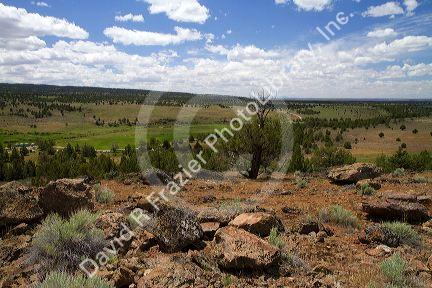 Scenic view along the Owyhee Uplands Backcountry Byway in Owyhee County, Idaho, USA.