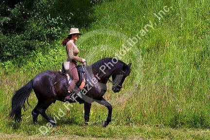 French woman riding her horse on a farm near Angouleme in southwestern France.