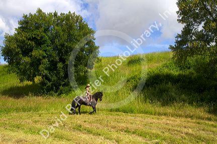 French woman riding her horse on a farm near Angouleme in southwestern France.
