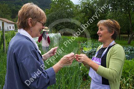 American tourist and Spanish woman talk about gardening in the municipality of Cangas de Onis in Asturias, Spain.