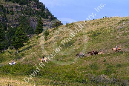 Horseback riding in Waterton Lakes National Forest, Alberta, Canada.