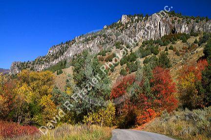 The Bear River Mountains in Logan Canyon, Utah, USA.