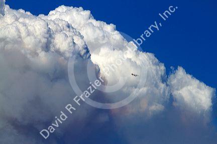 Pyrocumulus cloud created by a wildfire near Boise, Idaho, USA.