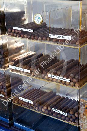 Cuban style cigars being sold at Tarpon Springs, Florida, USA.