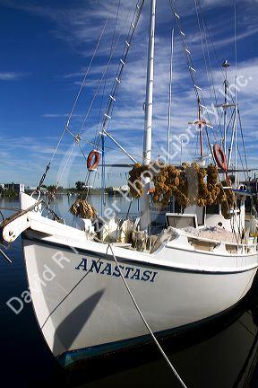Sponge diving boats on the waterfront at Tarpon Springs, Florida, USA.