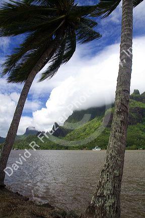 Cook's Bay, Moorea, French Polynesia.