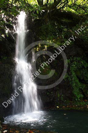 Waterfall on the island of Tahiti, French Polynesia.