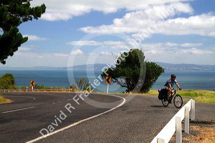 Bicycle traveler on the Coromandel Peninsula in the North Island of New Zealand.