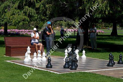 Outdoor chess game in a park at Taupo in the Waikato Region, North Island, New Zealand.