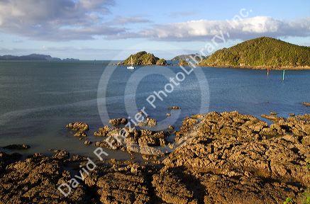 The rocky coast of Bay of Island, North Island, New Zealand.