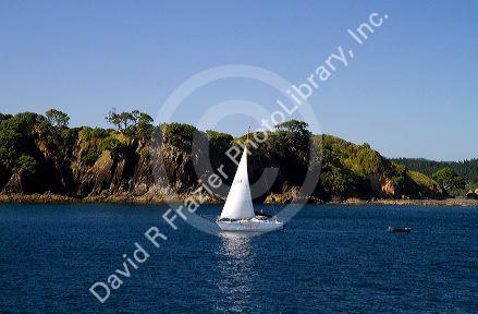 Sail boat in the Bay of Islands, North Island, New Zealand.