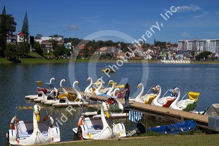 Swan shaped paddle boats on Xuan Huong lake in Da Lat, Vietnam.