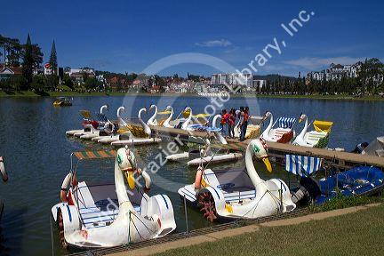Swan shaped paddle boats on Xuan Huong lake in Da Lat, Vietnam.