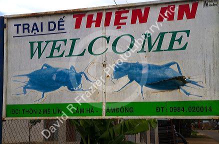 Cricket farm in the Lam Dong Province, Vietnam.