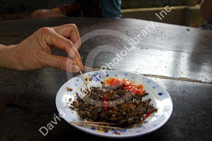Tourists eat crickets at farm in the Lam Dong Province, Vietnam.