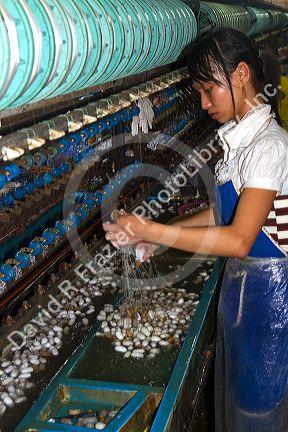 Commercial silk factory in Lam Dong Province, Vietnam.