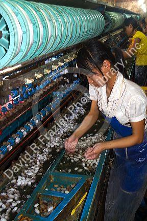 Commercial silk factory in Lam Dong Province, Vietnam.