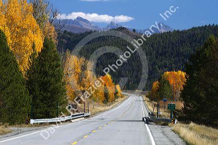 Trees in autumn color along Highway 75 near Ketchum, Idaho, USA.