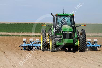 Spring planting of corn in Canyon County, Idaho, USA.