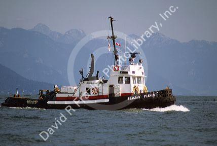 A seagoing tugboat off Vancouver, British Columbia.