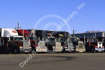 Long haul trucks parked in a line at a truck stop.