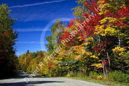 Fall foliage on a rural backroad north of Stowe, Vermont, USA.