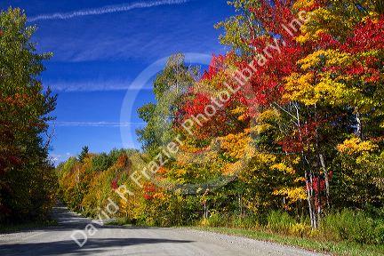 Fall foliage on a rural backroad north of Stowe, Vermont, USA.