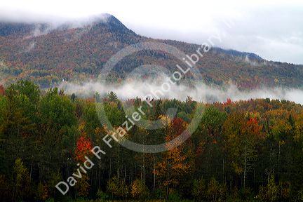 Fall foliage on a misty moring near Stowe, Vermont, USA.