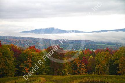 Fall foliage on a misty moring near Stowe, Vermont, USA.