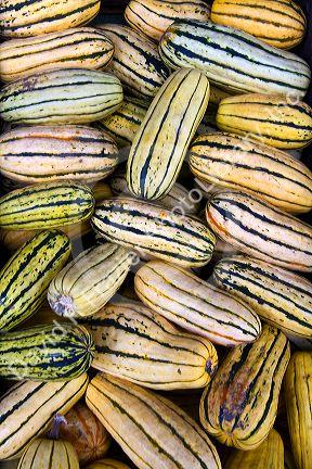 Roadside produce stand near Waitsfield, Vermont, USA.