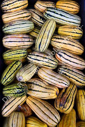 Roadside produce stand near Waitsfield, Vermont, USA.