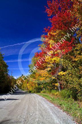 Fall foliage on a rural backroad north of Stowe, Vermont, USA.