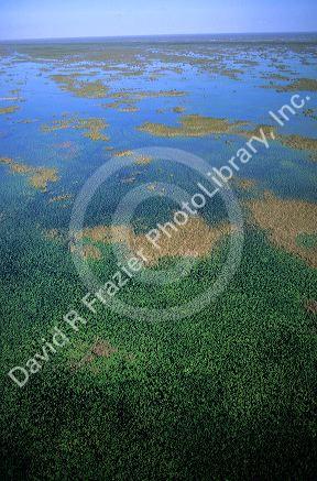 Aerial view of the Florida Everglades.