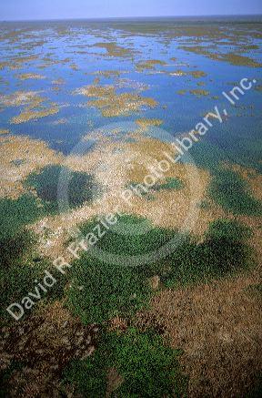 Aerial view of the Florida Everglades.