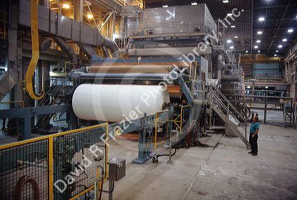Rolls of paper at a mill coming out of dryer.  A step in manufacturing of paper.