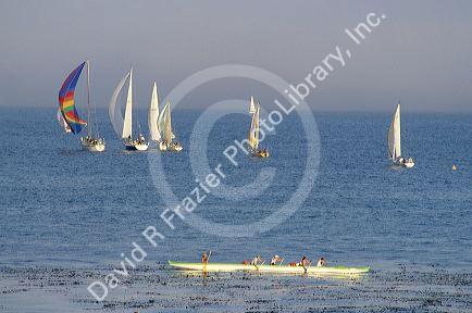 Sailboats off the coast of Santa Cruz, California.