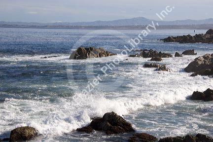 Waves crash along the rocky shore in Monterey, California.