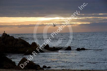Sunset seascape at Point Pinos, California near Pacific Grove and Monterey.