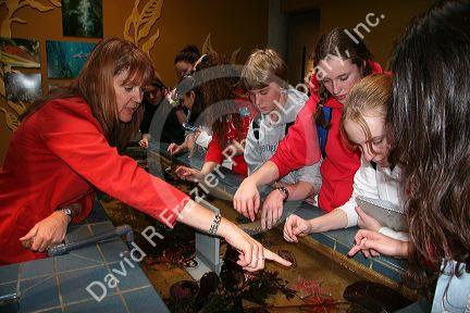 Docent in red jacket at the touching pool showing children and visitors sea creatures. Monterey Bay Aquarium, Monterey, California.