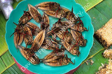 Insects on sale as food in Thailand.