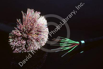 Fiber optic cable at right carries five times as many calls as old bulky  copper cable at left.