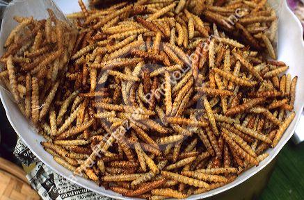 A bowl of roaster grub worms for sale as food in Thailand.