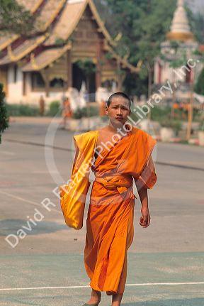 Buddhist monk in Thailand.