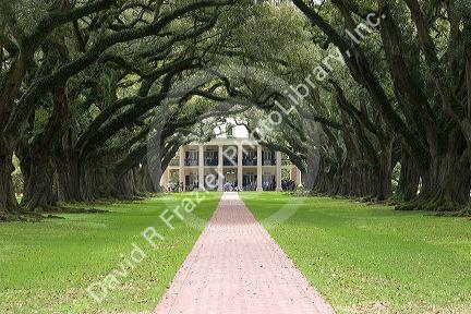 Oak Alley Plantation near New Orleans, Louisiana.