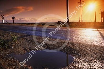 A puddle on the side of the road drying in the sunlight.