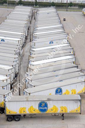 Chiquita bananna transport trailers lined up in Gulfport, Mississippi.