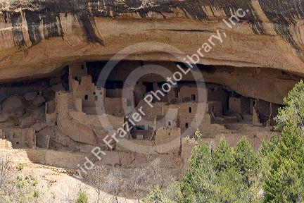 Cliff dwellings in Mesa Verde, Colorado.