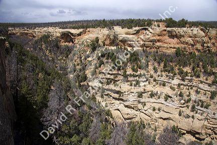 Cliff dwellings in Mesa Verde, Colorado are tucked into the arch at the left center of the photo.  Other images show close up details of the structures.