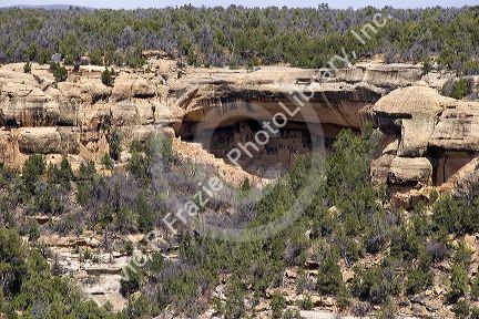 Cliff dwellings in Mesa Verde, Colorado.